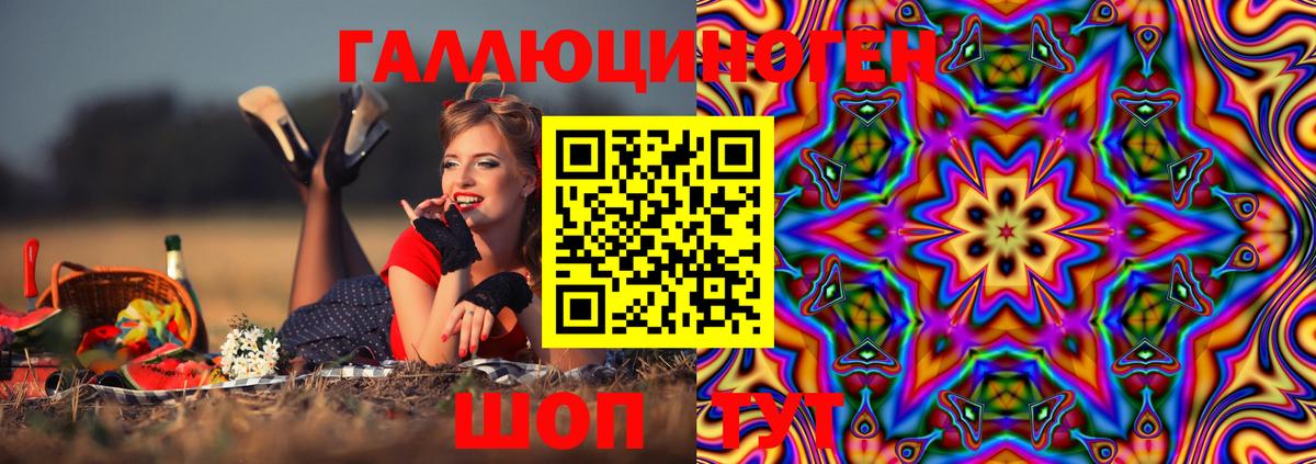 Богданович  Галлюциногенные грибы мухоморы  Вход с VPN 
