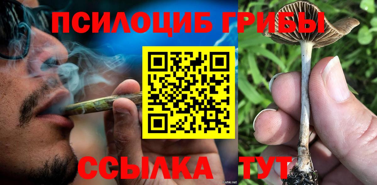 Псилоцибиновые грибы Magic Shrooms Богданович